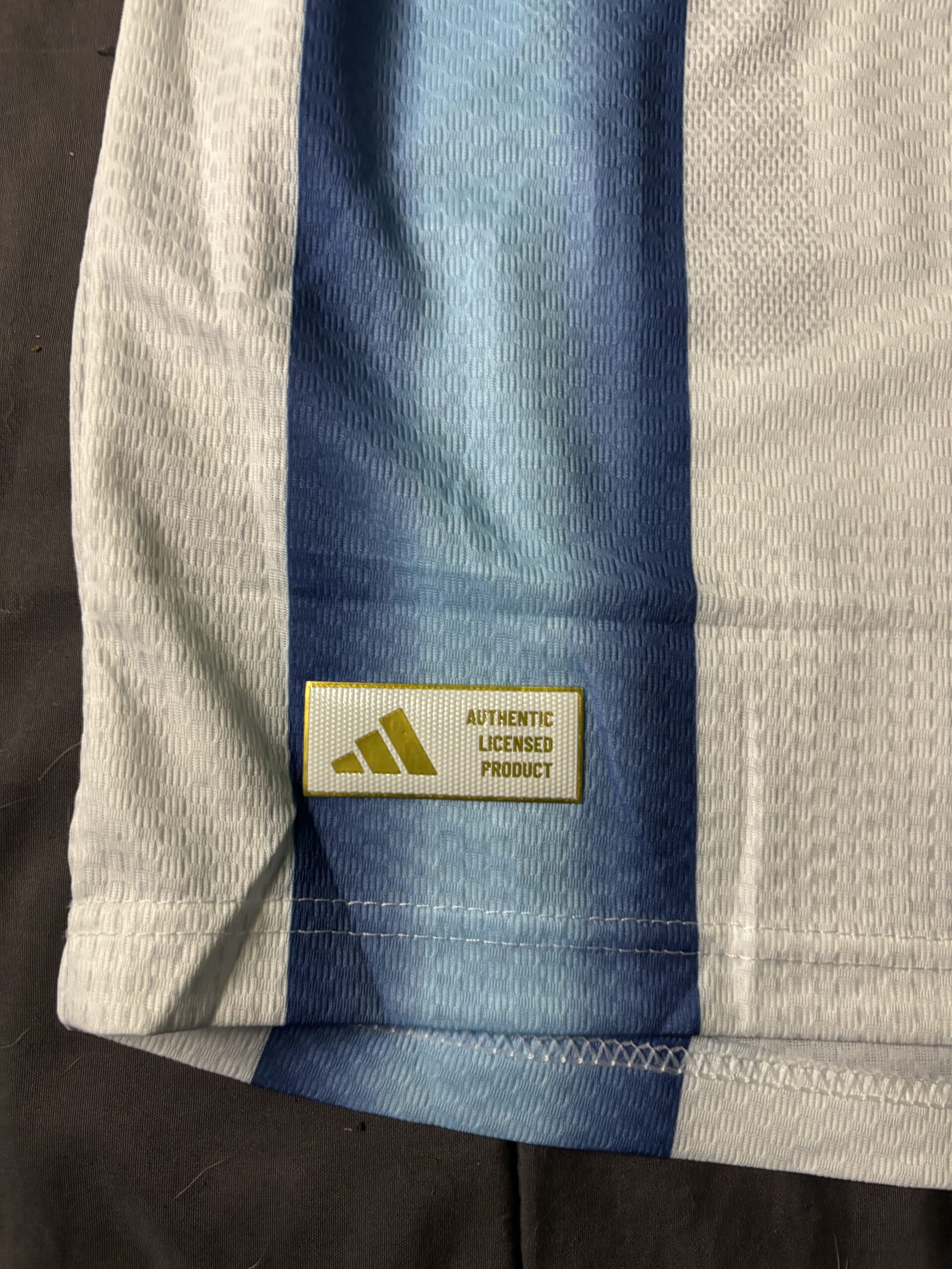 Camiseta Argentina titular 2026 - Manga larga (IMPORTADA) - Image 6