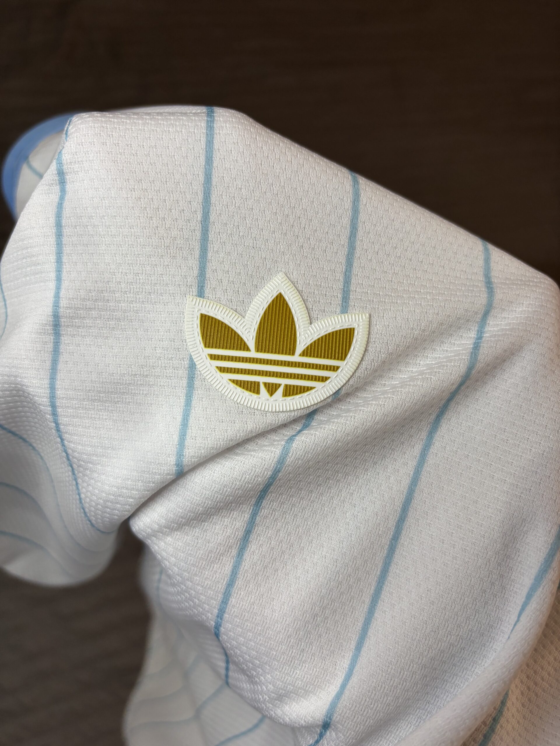 Camiseta Argentina ICON 2026 - Image 4